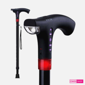 Smart Walking Stick