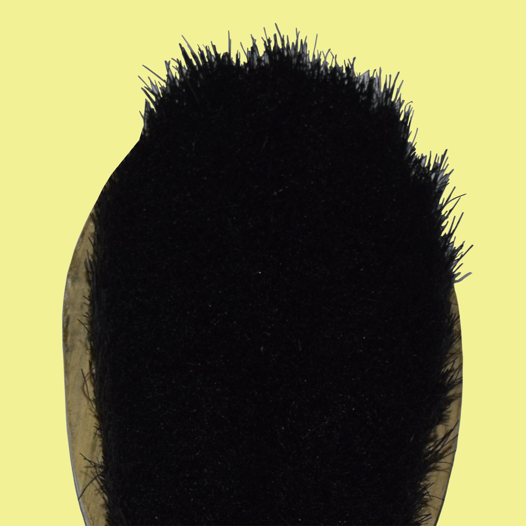 Coat Brush Head 1800x